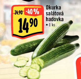 Okurka hadovka