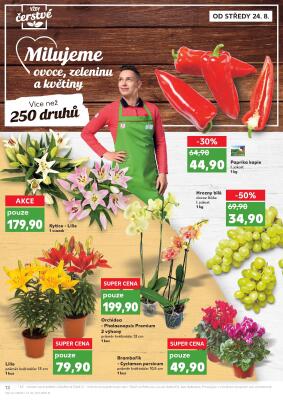 akční leták Kaufland 24.8.2022-30.8.2022