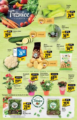 akční leták Albert 24.8.2022-30.8.2022