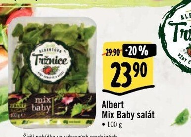 Salát baby listy mix Albert