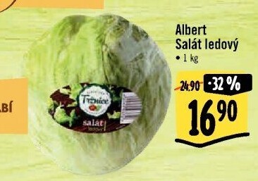 Salát ledový Albert