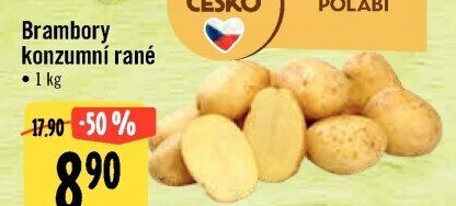 Brambory konzumní rané