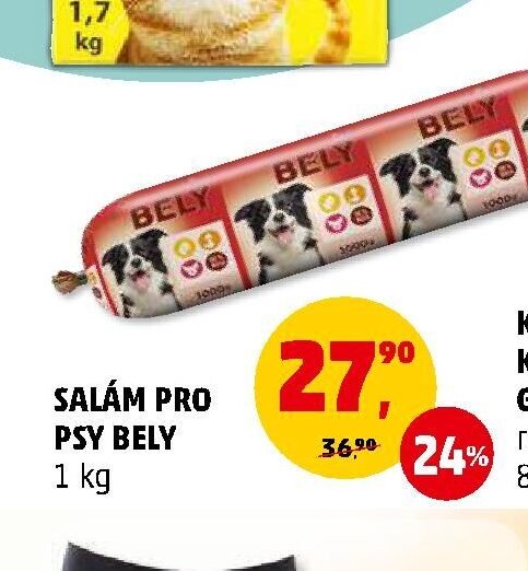 SALÁM PRO PSY BELY