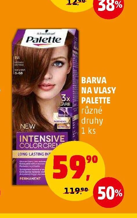 Barva na vlasy Palette