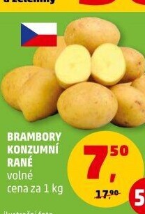 Brambory konzumní rané