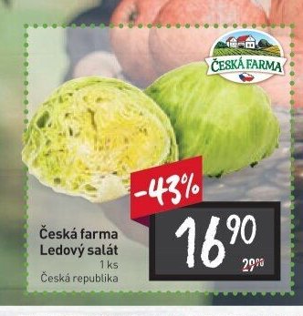 Česká farma Ledový salát