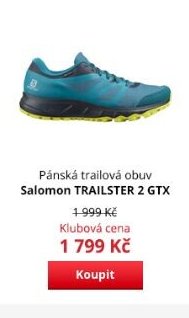 Pánská trailová obuv Salomon TRAILSTER 2 GTX