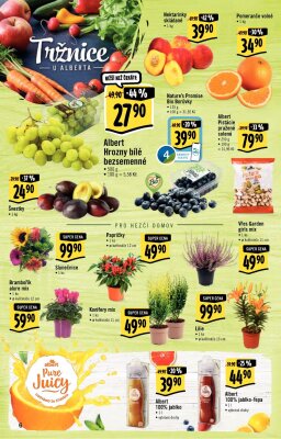 akční leták Albert 31.8.2022-6.9.2022