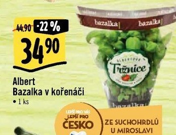 Bylinky v květináči Albert