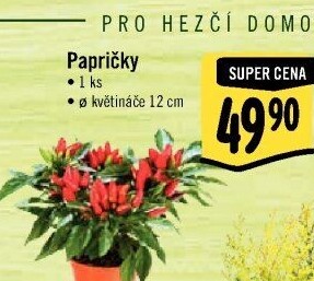 Okrasné papričky