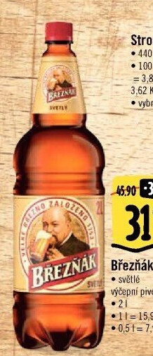 Pivo světlé výčepní 10° Březňák