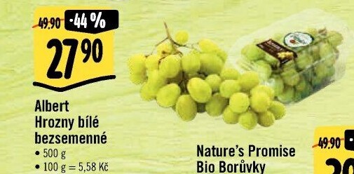 Hrozny bílé bezsemenné Albert