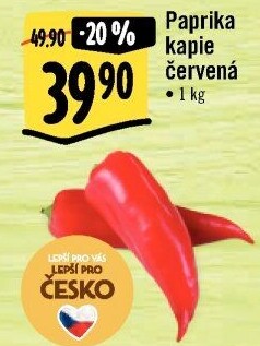 Paprika červená kapie