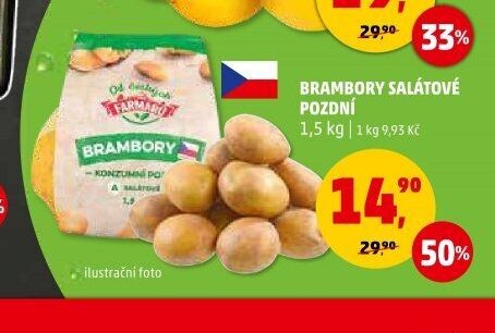 Brambory salátové pozdní