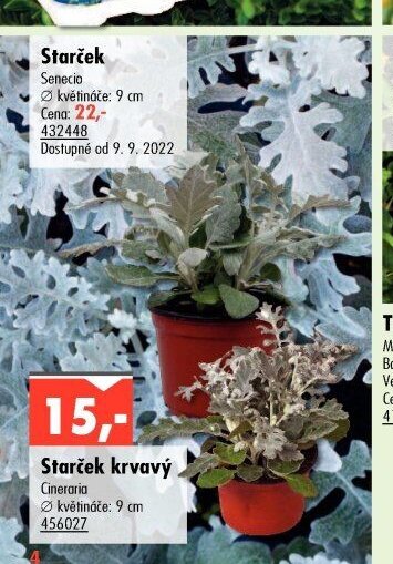 Starček - UNI HOBBY akcniletaky.com