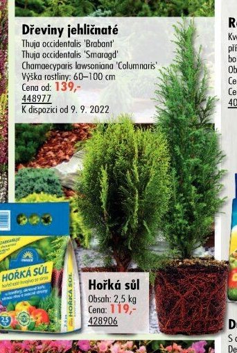 Dřeviny jehličnaté - UNI HOBBY akcniletaky.com