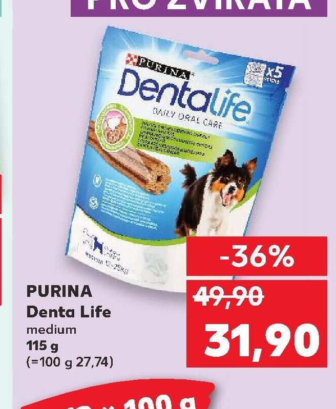 Purina Denta Life medium