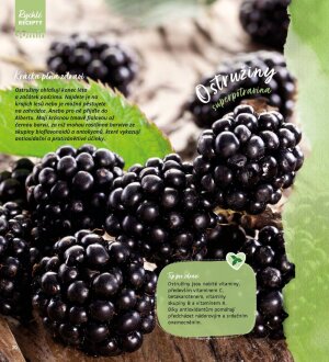 akční leták Albert 1.9.2022-27.9.2022