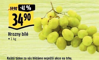 Hrozny bílé