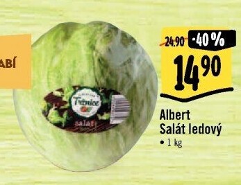 Salát ledový Albert