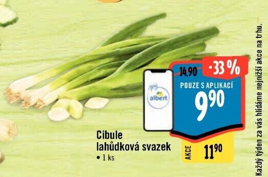 Jarní cibule svazek
