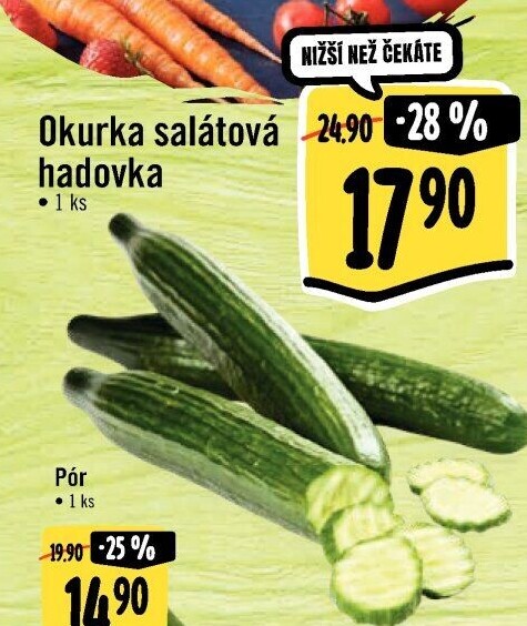 Okurka hadovka