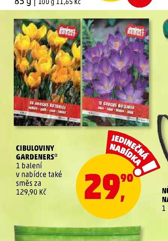 CIBULOVINY GARDENERS