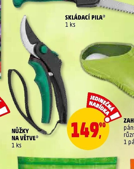 NŮŽKY NA VĚTVE