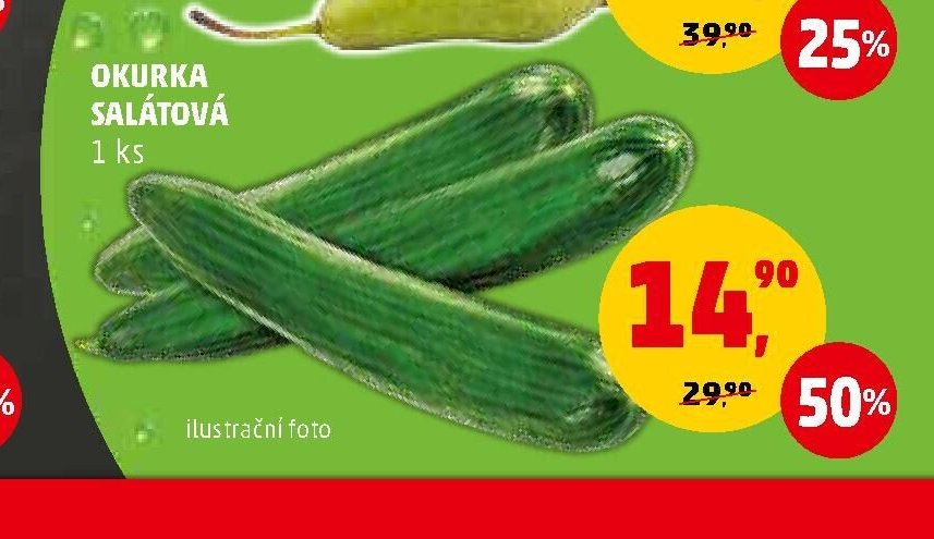 Okurka salátová