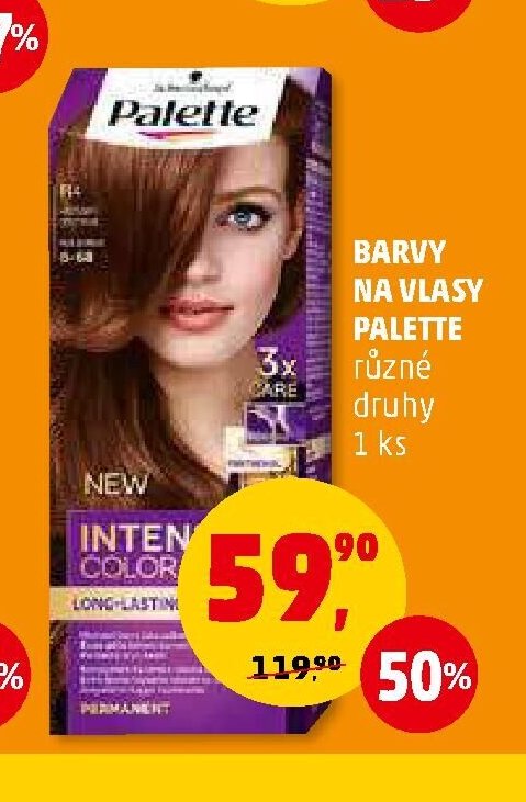 BARVY NA VLASY PALETTE
