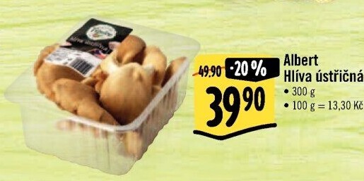 Hlíva ústřičná Albert