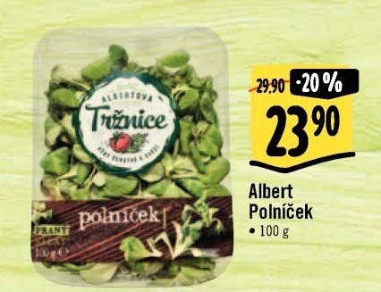 Salát polníček Albert