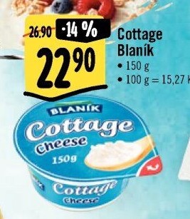 Sýr Cottage Blaník