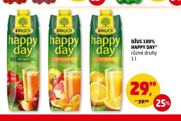 DŽUS 100% HAPPY DAY různé druhy 1 l