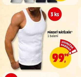 PÁNSKÝ NÁTĚLNÍK
