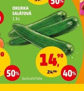 Okurka salátová