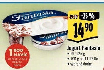 Dezert Fantasia Danone