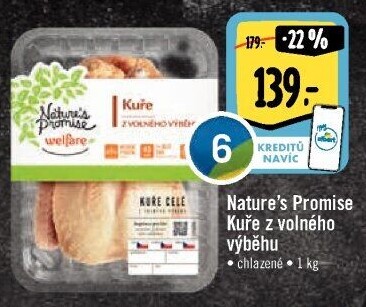 Kuře Welafare Nature'