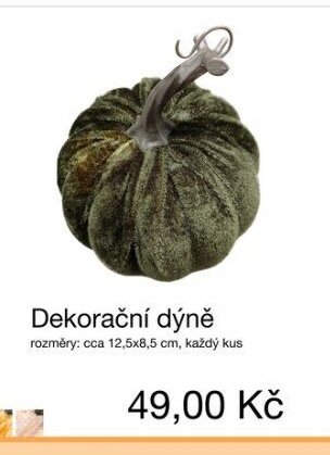Dekorační dýně