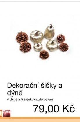 Dekorační šišky a dýně