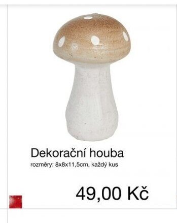 Dekorační houba