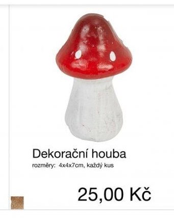 Dekorační houba