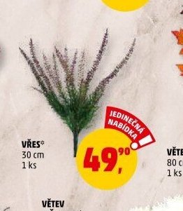 Vřes