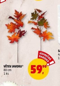Větev javoru