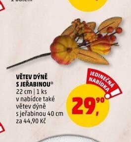 Větev dýně s jeřabinou