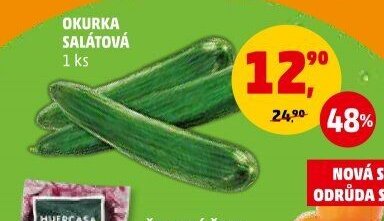 Okurka salátová