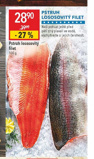 Pstruh lososovitý filet