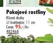 Pokojové rostliny - UNI HOBBY akcniletaky.com