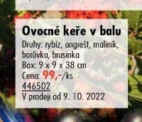 Ovocné keře v balu - UNI HOBBY akcniletaky.com