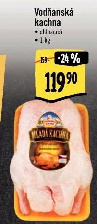 Kachna Vodňanská kachna